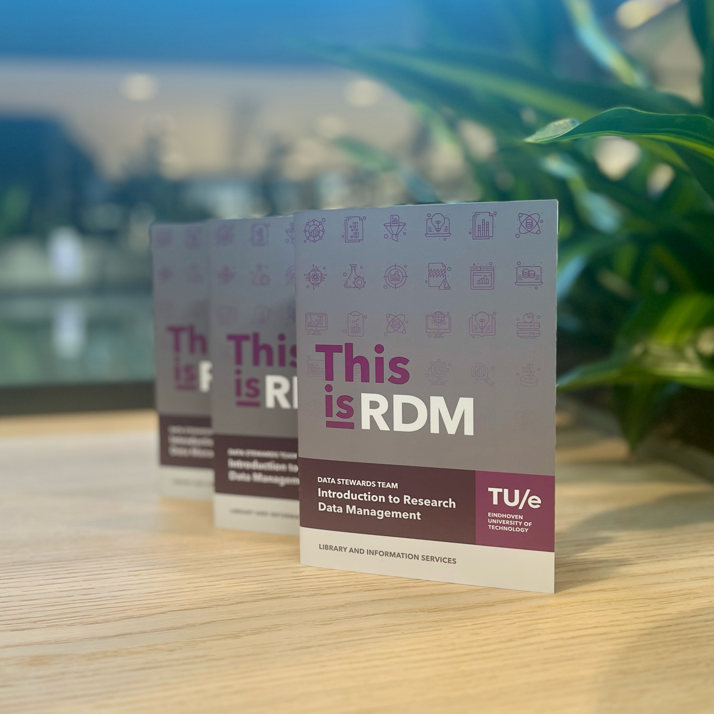 Three Research Data Management Booklets standing, with the cover page showing the text, &quot;This is RDM&quot;